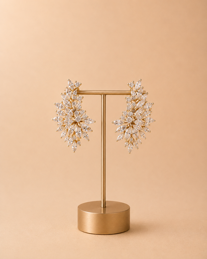 Aretes 1112