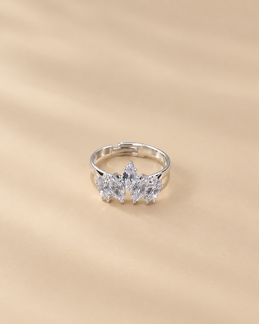 Anillo 1143