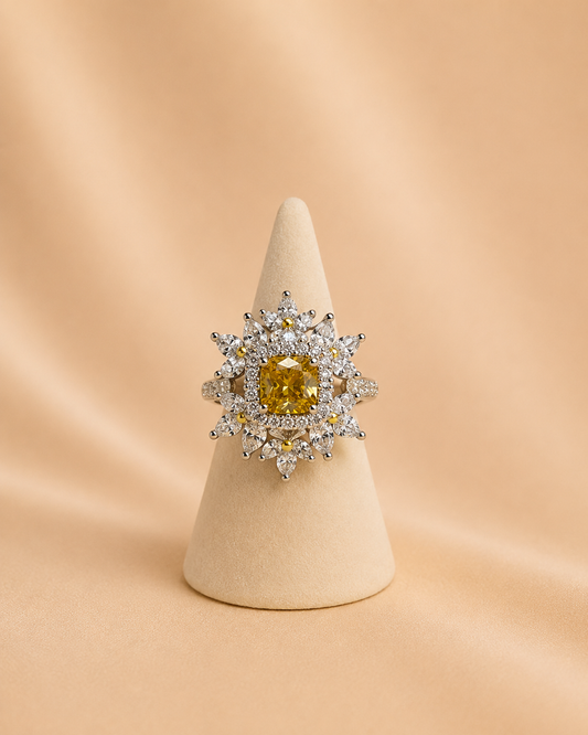 Anillo 1008