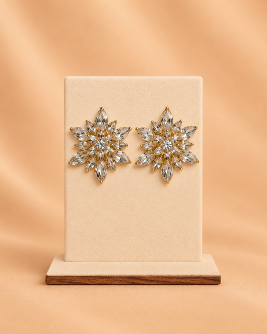 Aretes 1034