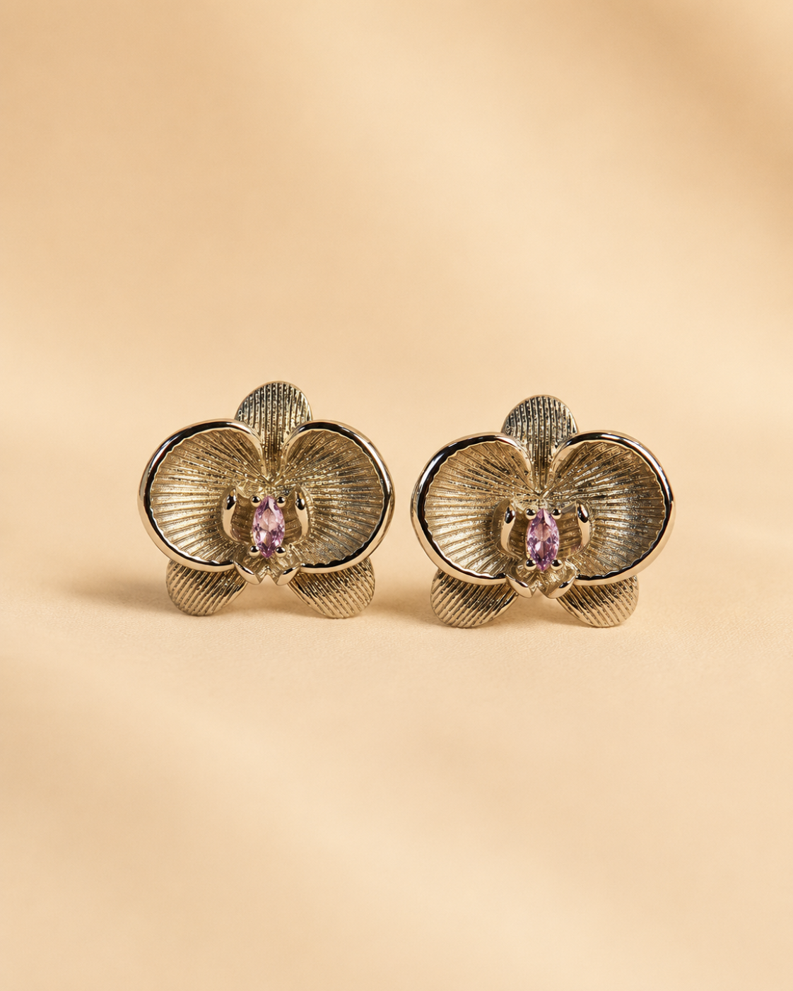 Aretes 1029