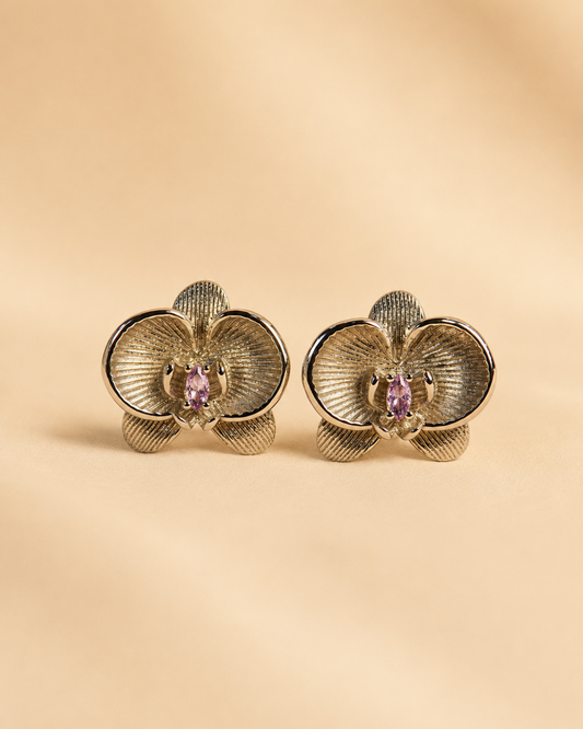 Aretes 1029