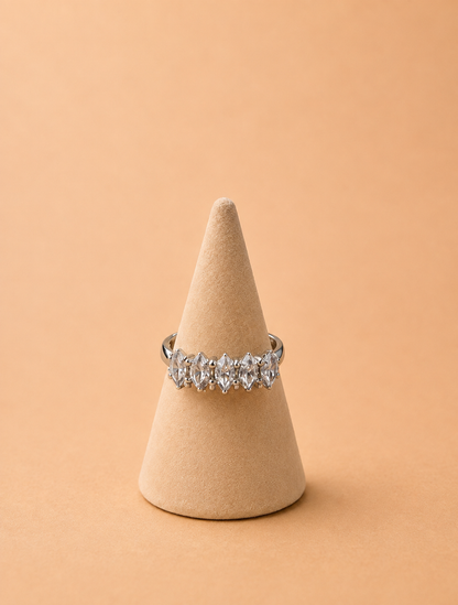 Anillo 1118