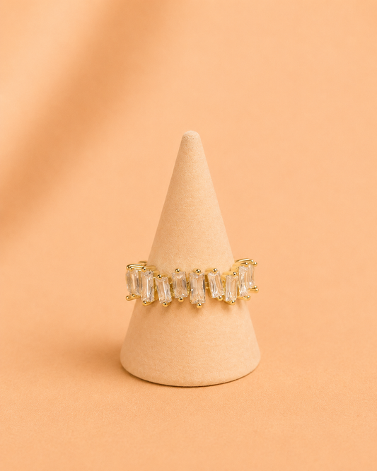 Anillo 1013